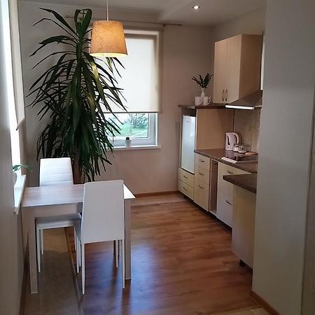 Jaukus Butas Siauliu Miesto Centre Apartment Šiauliai Екстериор снимка