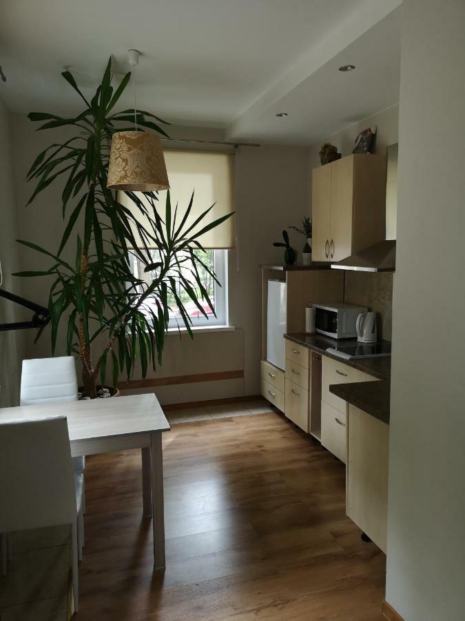 Jaukus Butas Siauliu Miesto Centre Apartment Šiauliai Екстериор снимка
