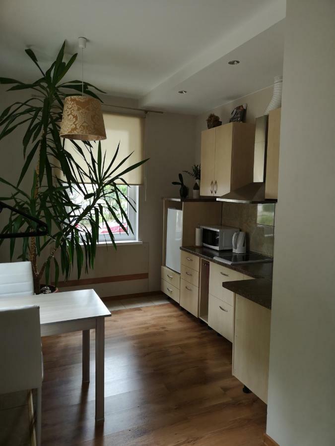 Jaukus Butas Siauliu Miesto Centre Apartment Šiauliai Екстериор снимка